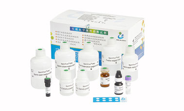 Kit for Determination of Induced Acrosome Reaction by Calcium Ionophore A23187