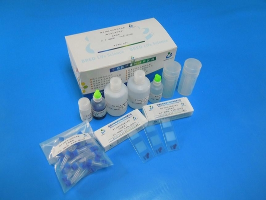 Wright Stain 정자 DNA 단편화 테스트 검증 시약 키트 테스트 40개/키트