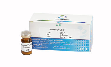 정액 결심 LDH-X 수준을 위한 직업적인 남성 비옥 시험 장비