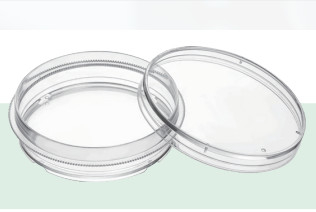 특수성 IVF 배양 접시