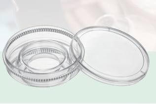 특수성 IVF 배양 접시